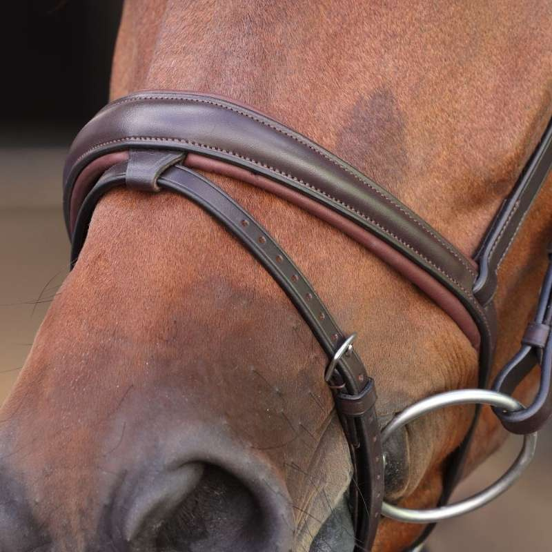 Bridle LUSSO Elite Brown