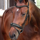 Dressage Bridle LUSSO Elite Black Dressage Bridle LUSSO Elite Black