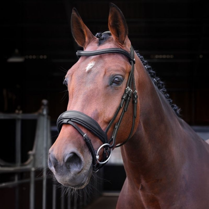 Dressage Bridle LUSSO Elite Black