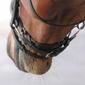 Dressage Bridle LUSSO Elite Black Dressage Bridle LUSSO Elite Black