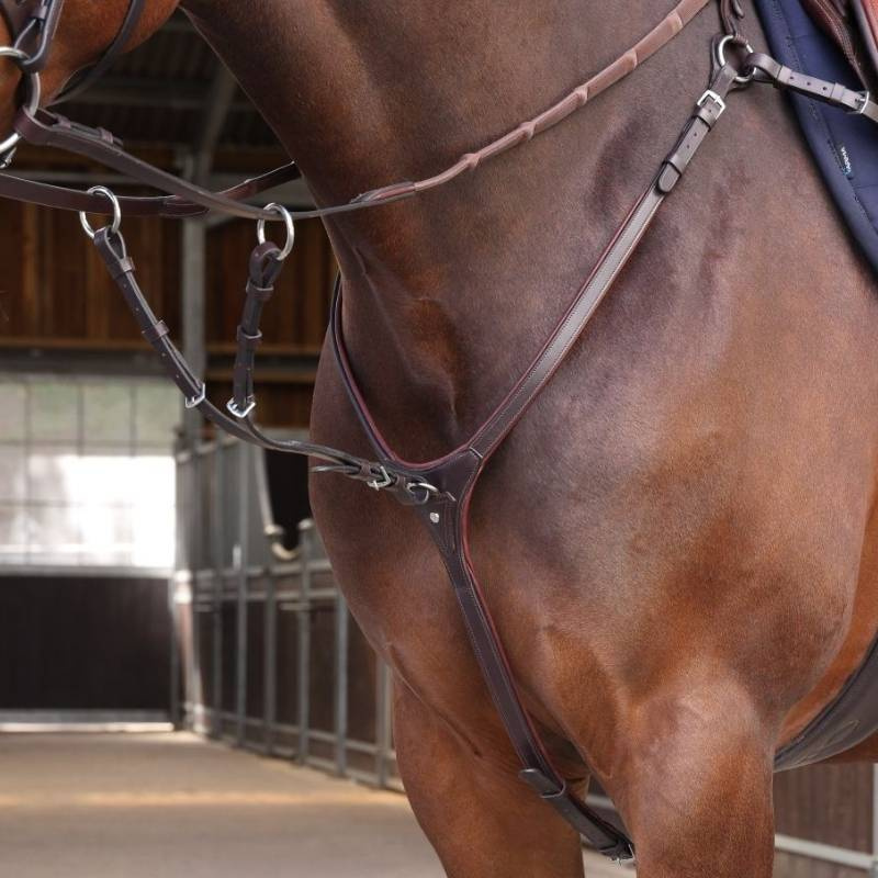 Breastplate with Martingale LUSSO Elite Brown