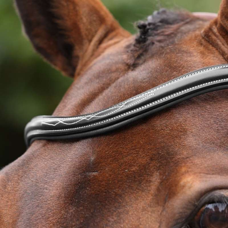 Bridle Padded Noseband LUSSO Opus 180M Black