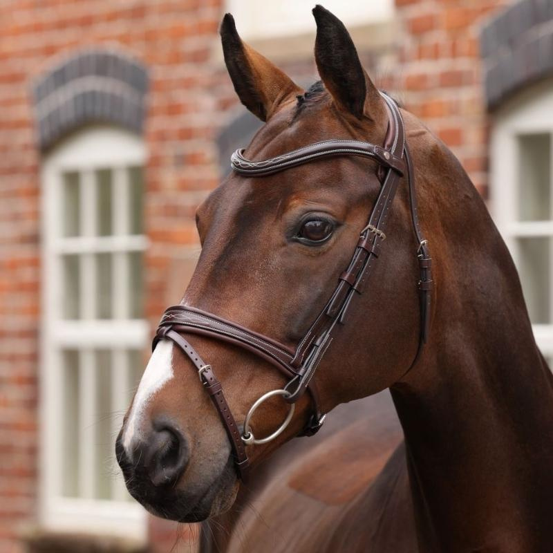 Bridle Padded Noseband LUSSO Opus 180M Brown