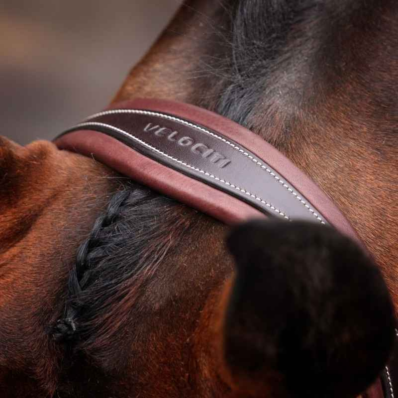 Bridle Padded Noseband LUSSO Opus 180M Brown