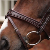 Bridle Padded Noseband LUSSO Opus 180M Brown Bridle Padded Noseband LUSSO Opus 180M Brown