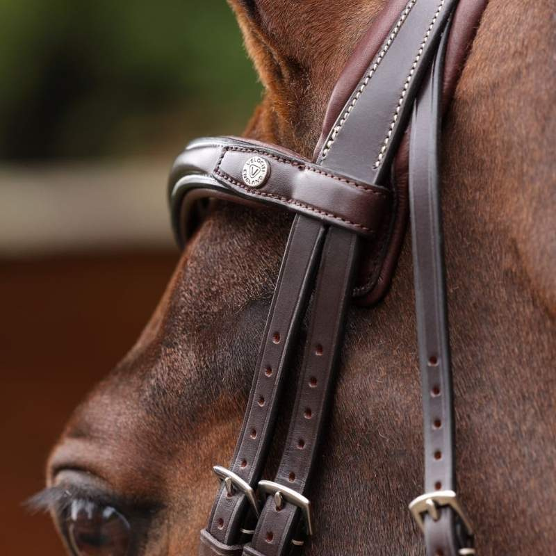 Bridle Padded Noseband LUSSO Opus 180M Brown