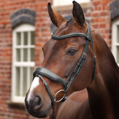 Bridle Wide Noseband LUSSO Opus 180M Black Bridle Wide Noseband LUSSO Opus 180M Black
