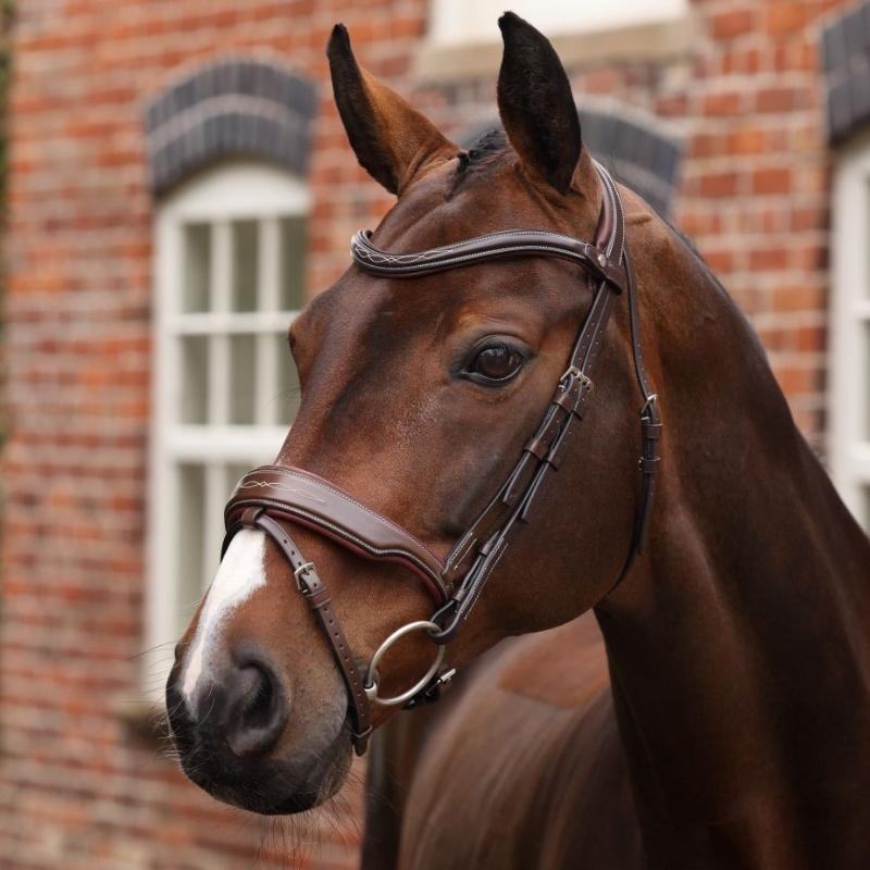 Bridle Wide Noseband LUSSO Opus 180M Brown