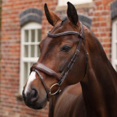 Bridle Wide Noseband LUSSO Opus 180M Brown Bridle Wide Noseband LUSSO Opus 180M Brown