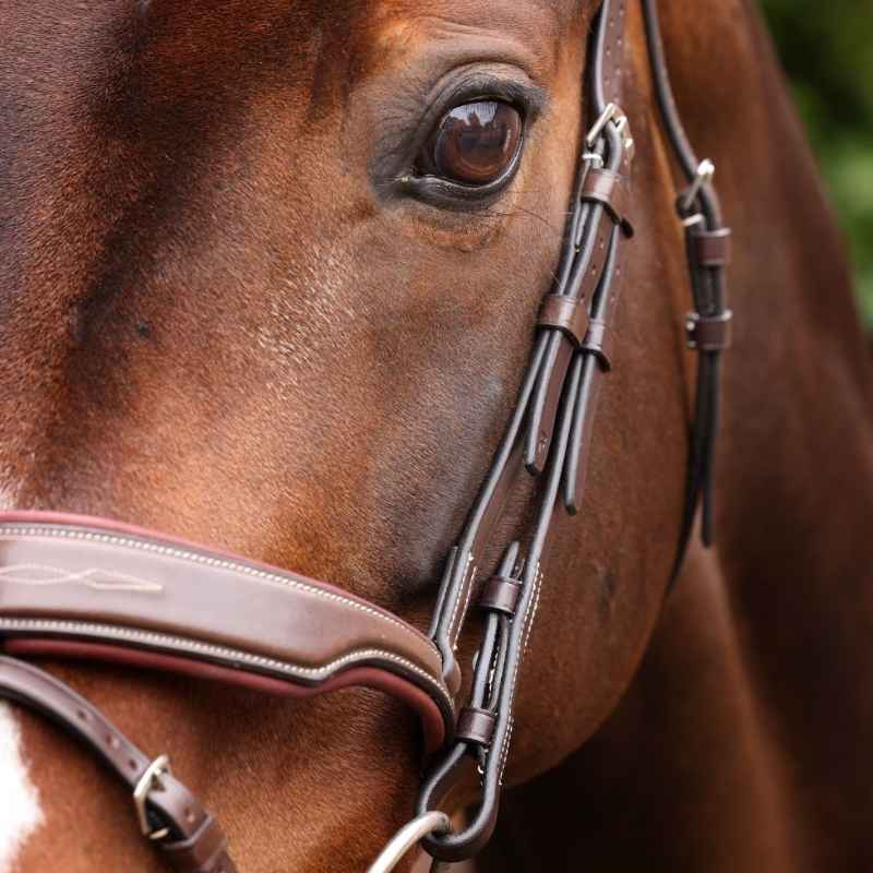Bridle Wide Noseband LUSSO Opus 180M Brown