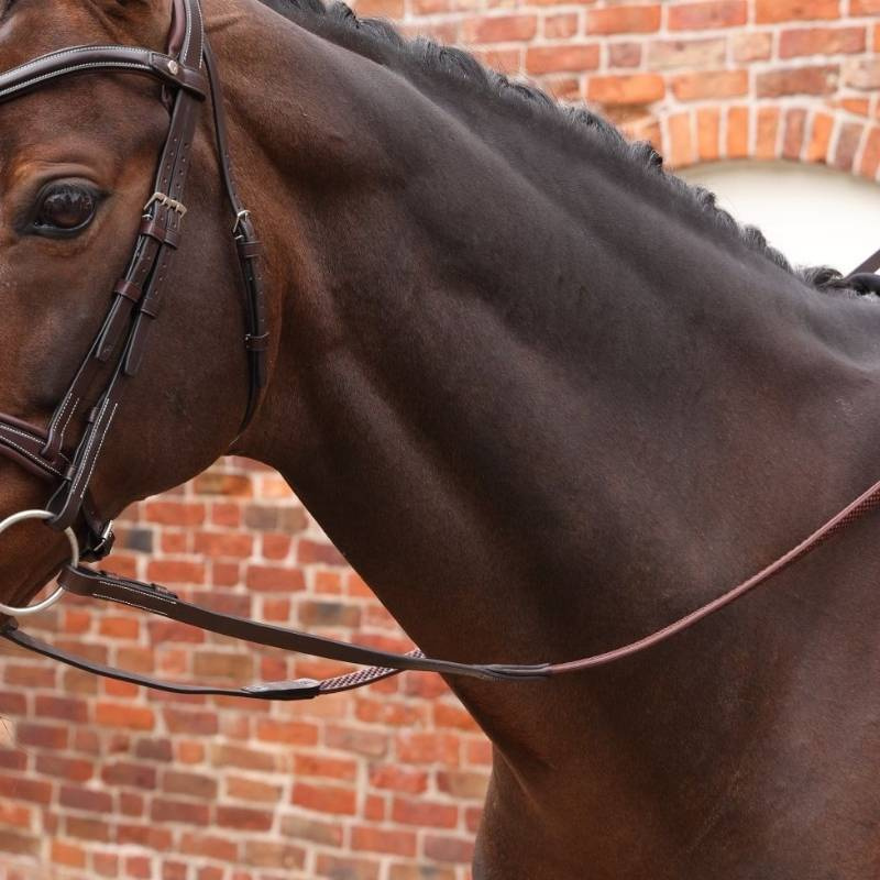 Reins LUSSO Opus Soft Grip Brown