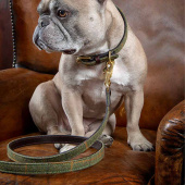 Dog Lead Tweed/Leather 110cm Green