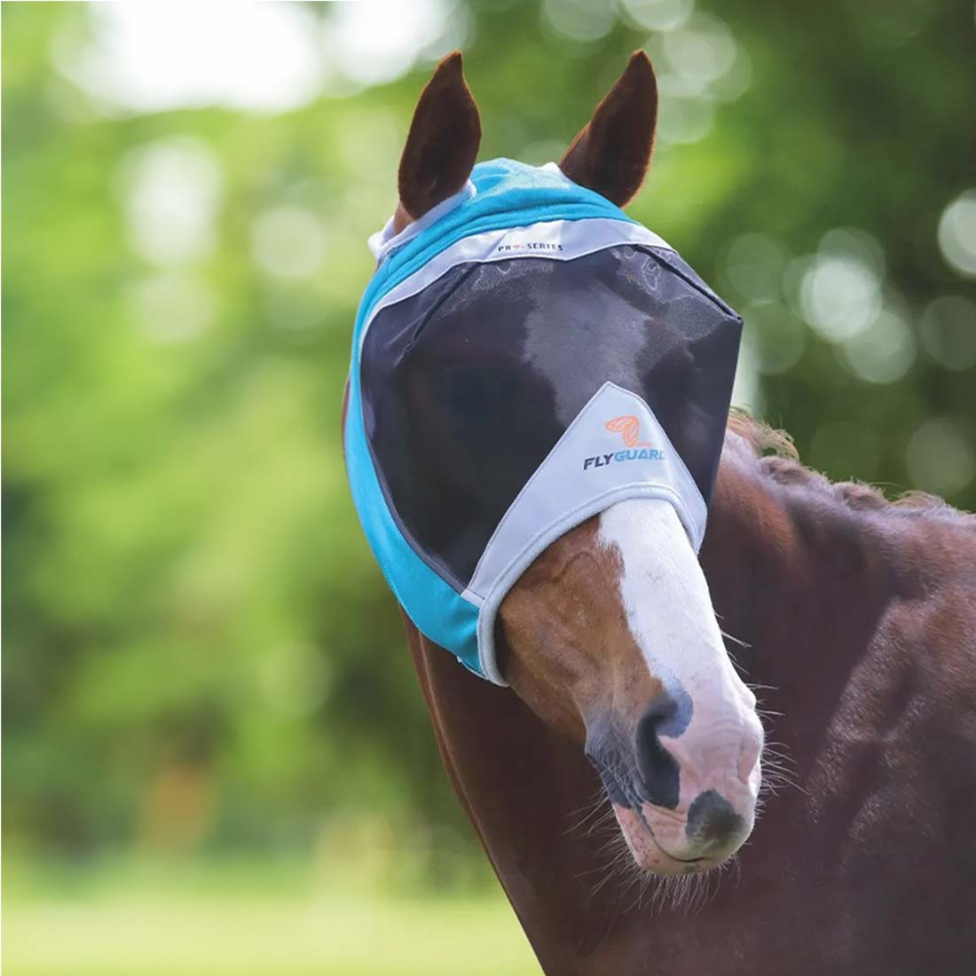 Fine Mesh Fly Mask with Ears Teal/Gray
