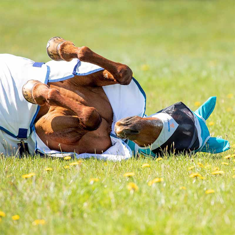 Fine Mesh Fly Mask with Ears Teal/Gray