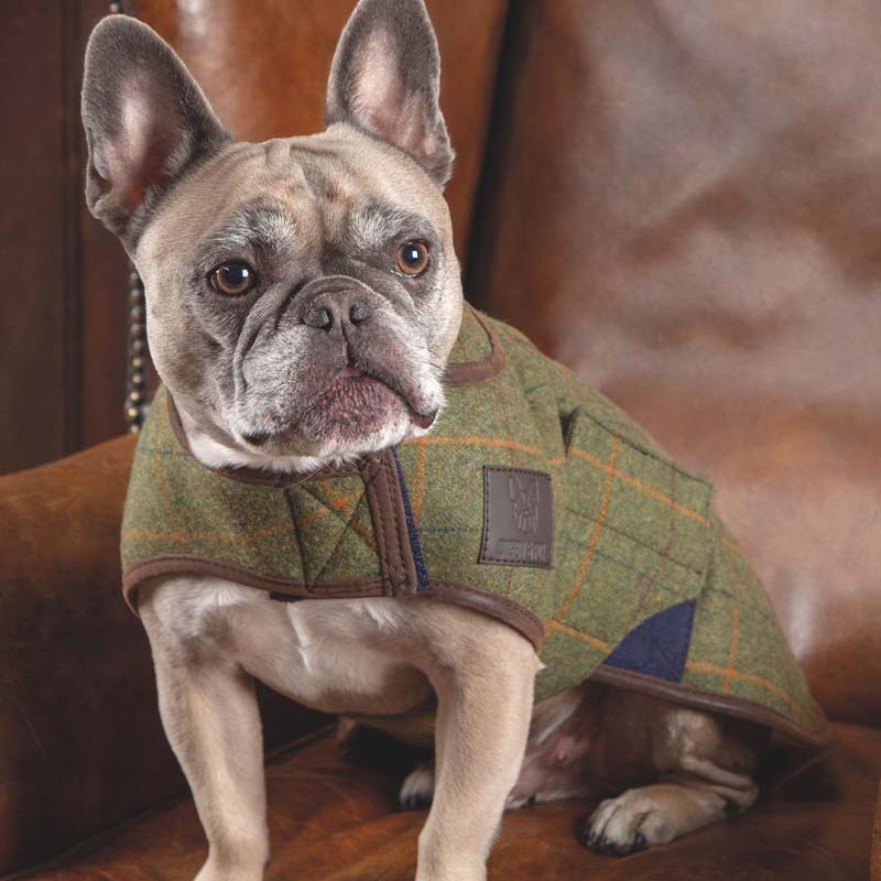 Dog Coat Tweed Green