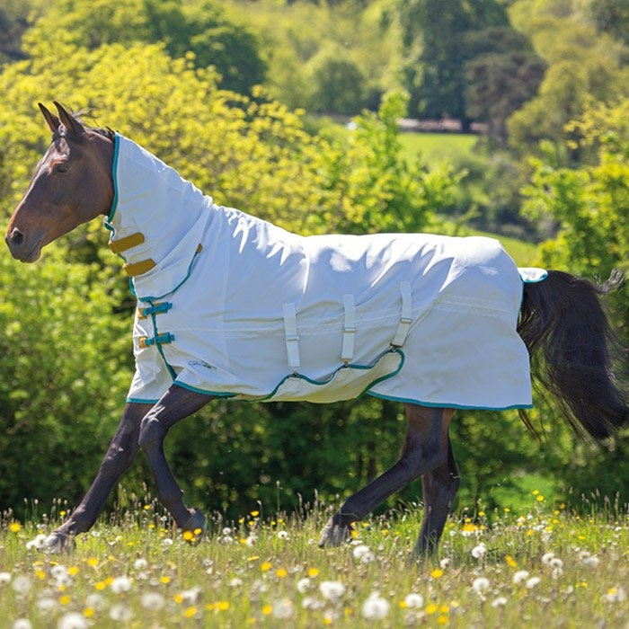 Tempest Plus Fly and Sweet Itch Rug White