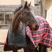 Shoulder Guard Satin Black Shoulder Guard Satin Black