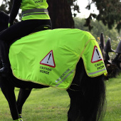 Mesh Reflective Quarter Rug Yellow Mesh Reflective Quarter Rug Yellow