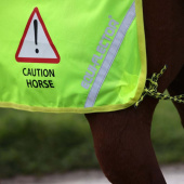 Mesh Reflective Quarter Rug Yellow Mesh Reflective Quarter Rug Yellow