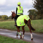 Mesh Reflective Quarter Rug Yellow Mesh Reflective Quarter Rug Yellow