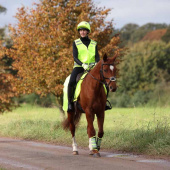 Mesh Reflective Quarter Rug Yellow Mesh Reflective Quarter Rug Yellow