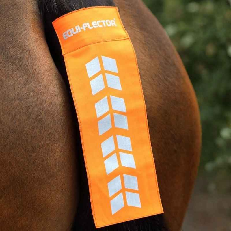 Tail reflex Orange