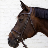 Flash Noseband Bridle Soft Collection Brown Flash Noseband Bridle Soft Collection Brown