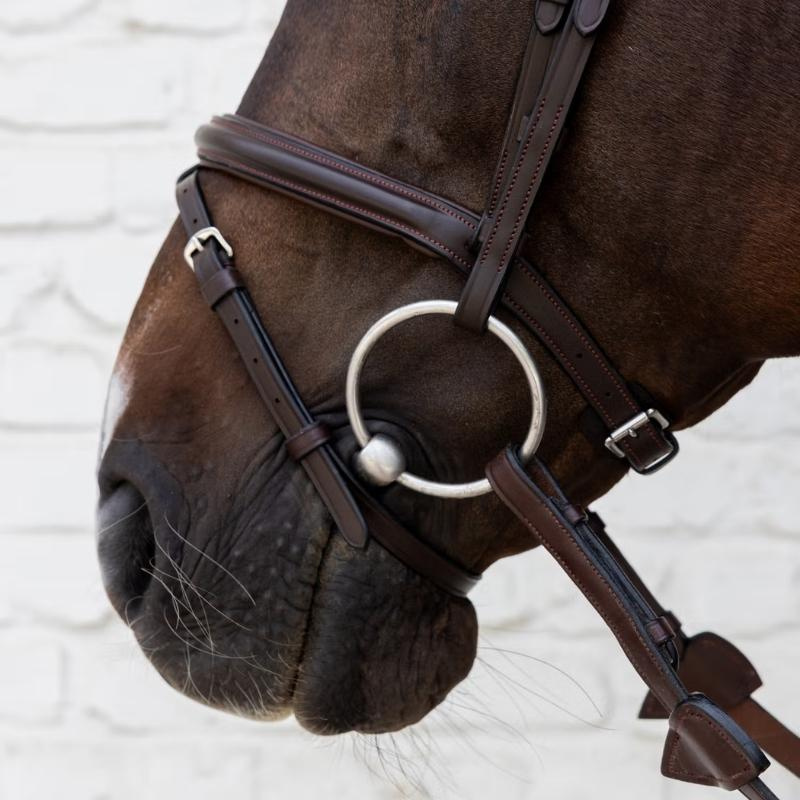 Flash Noseband Bridle Soft Collection Brown