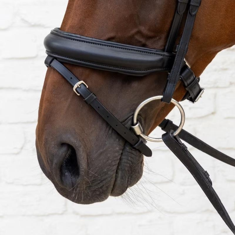 Dressage Bridle Medium Noseband Soft Collection Black
