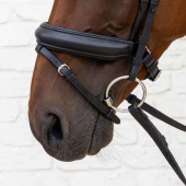 Dressage Bridle Medium Noseband Soft Collection Black Dressage Bridle Medium Noseband Soft Collection Black