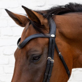 Dressage Bridle Medium Noseband Soft Collection Black Dressage Bridle Medium Noseband Soft Collection Black