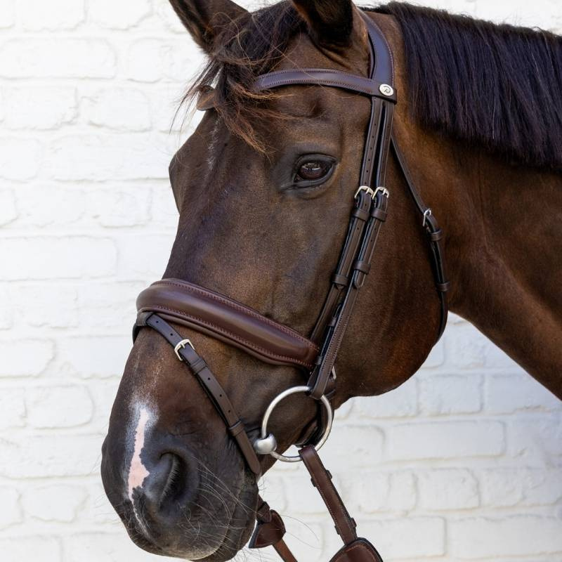Dressage Bridle Medium Noseband Soft Collection Brown