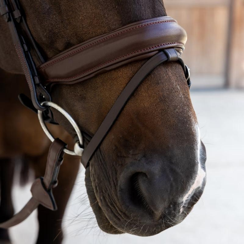 Dressage Bridle Medium Noseband Soft Collection Brown