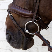 Dressage Bridle Medium Noseband Soft Collection Brown Dressage Bridle Medium Noseband Soft Collection Brown