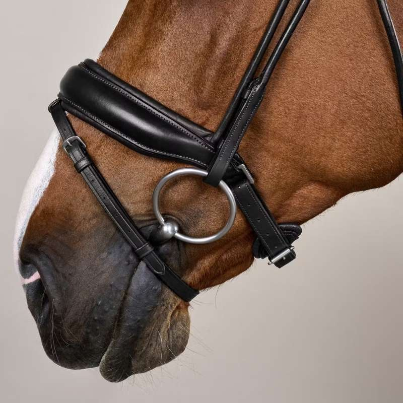 Dressage Bridle Wide Noseband Soft Collection Black