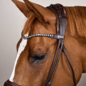 Dressage Bridle Wide Noseband Soft Collection Brown Dressage Bridle Wide Noseband Soft Collection Brown