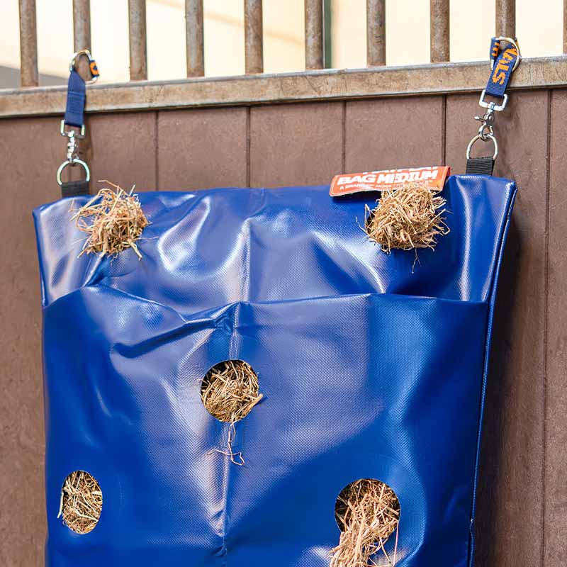 Strap HayPlay 25cm Blue