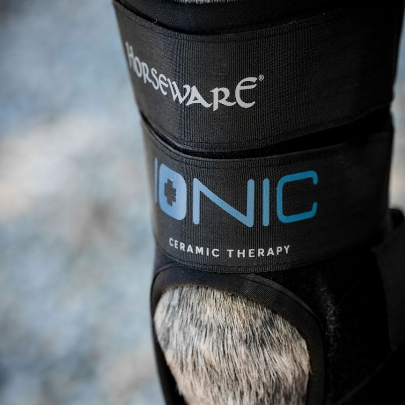 Hock Boots Ionic Therapy 2-pack Black 