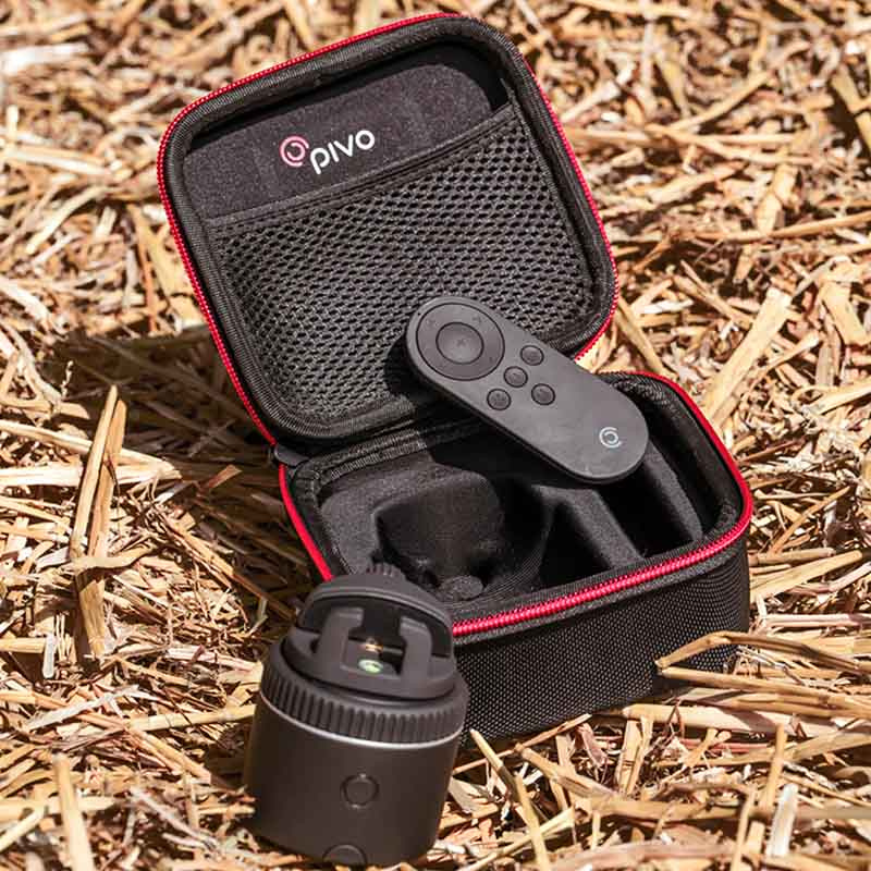Travel Case Mini for Pivo Pod Black