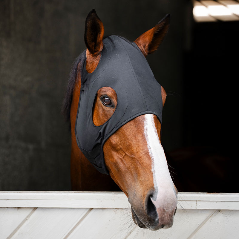 Calming Hood Ionic Black