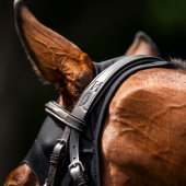 Calming Hood Ionic Black Calming Hood Ionic Black