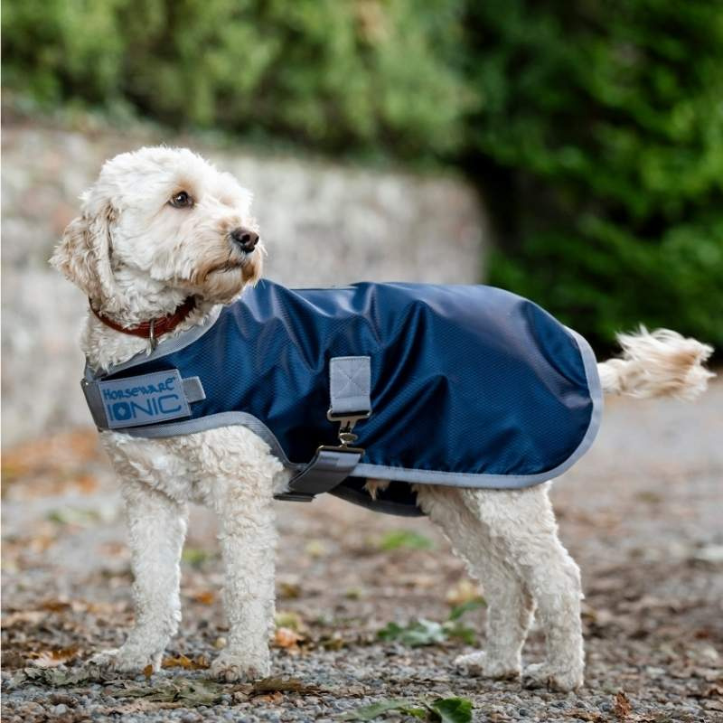 Dog Coat Ionic Therapy 50g Blue/Silver