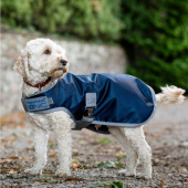 Dog Coat Ionic Therapy 50g Blue/Silver Dog Coat Ionic Therapy 50g Blue/Silver