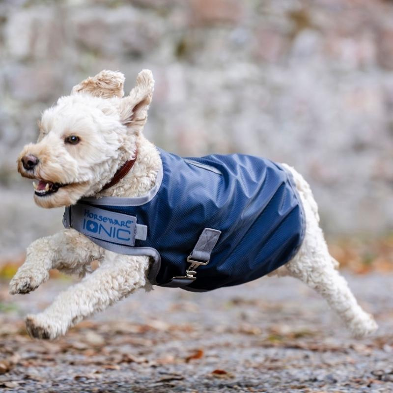 Dog Coat Ionic Therapy 50g Blue/Silver