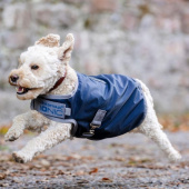 Dog Coat Ionic Therapy 50g Blue/Silver Dog Coat Ionic Therapy 50g Blue/Silver