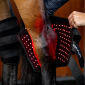 LED Red Light Therapy Hock Boot Black LED Red Light Therapy Hock Boot Black