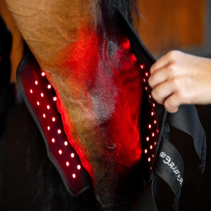 LED Red Light Therapy Hock Boot Black