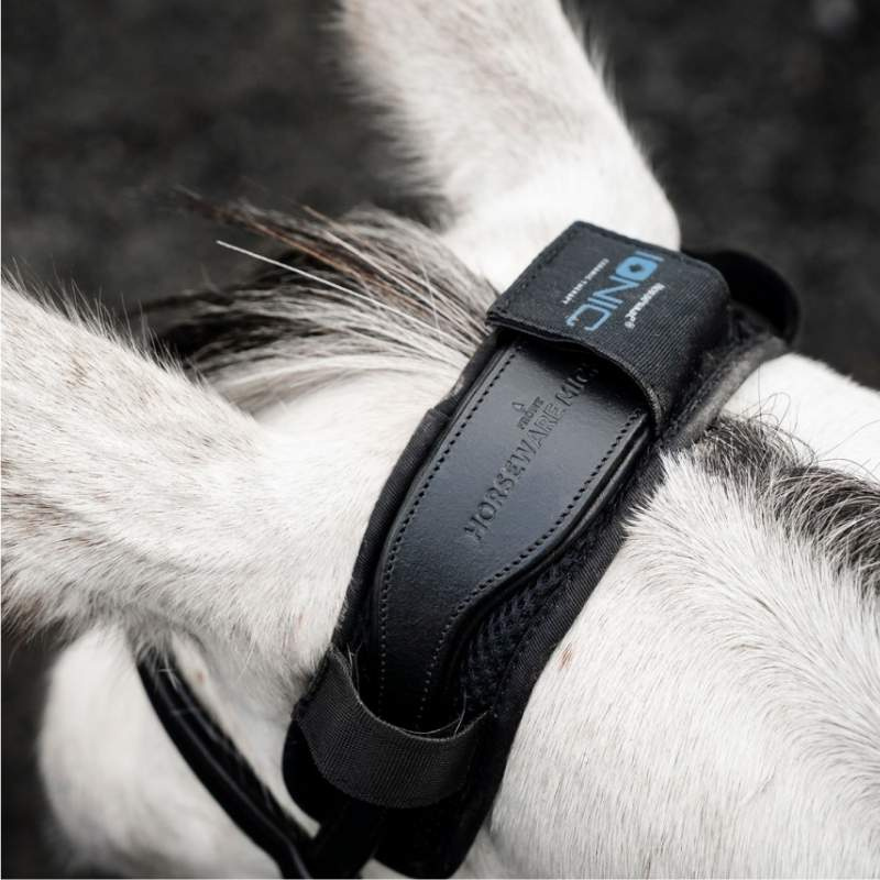 Poll Cover Ionic Therapy Black