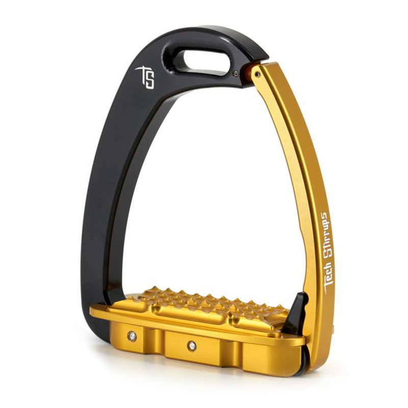 Venice Young EVO Spurs Black/Gold