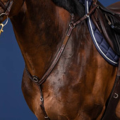 Bridge Breastplate US Collection Brown Bridge Breastplate US Collection Brown
